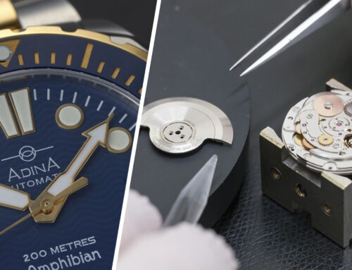 An Adina Automatic Watch. Your Questions Answered