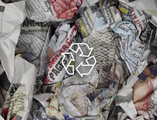 Here at Adina Watches, Sustainability is in Our DNA