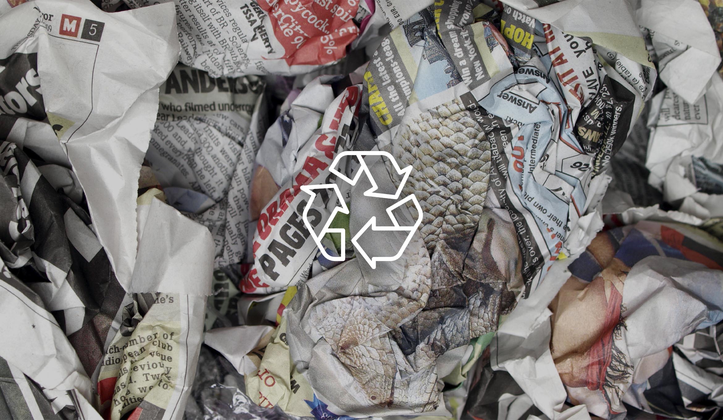 Here at Adina Watches, Sustainability is in Our DNA