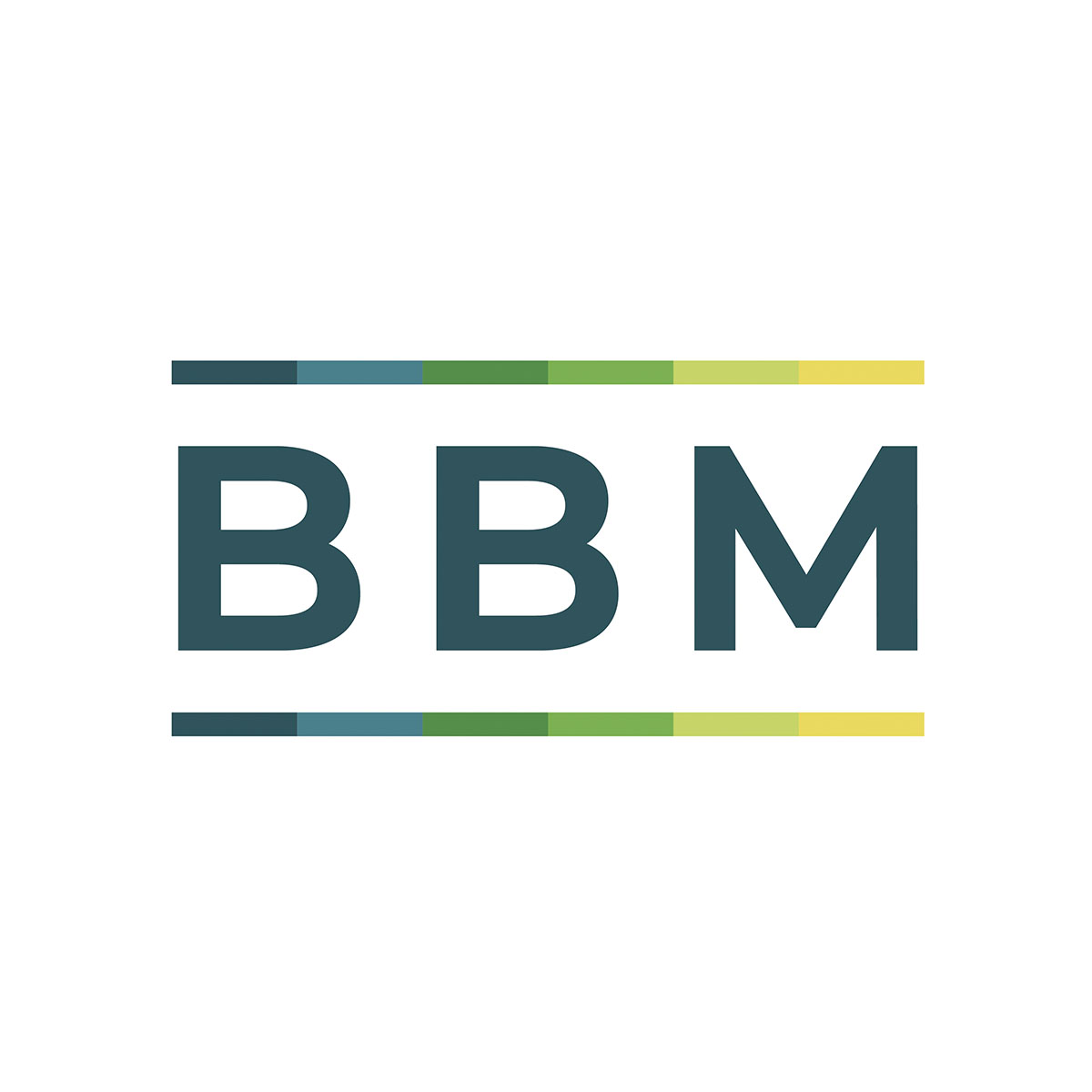 BBM Big Brother Movement